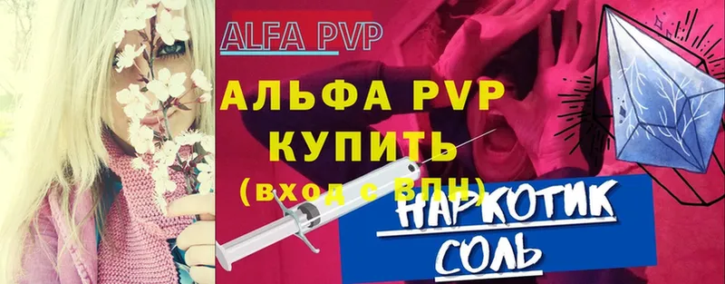 APVP СК  Великий Устюг 