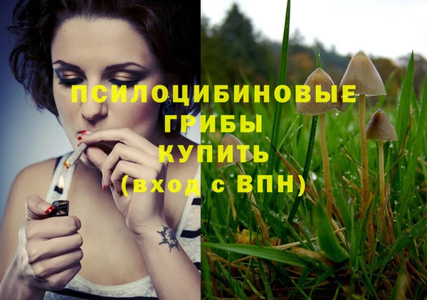 дживик Ханты-Мансийск