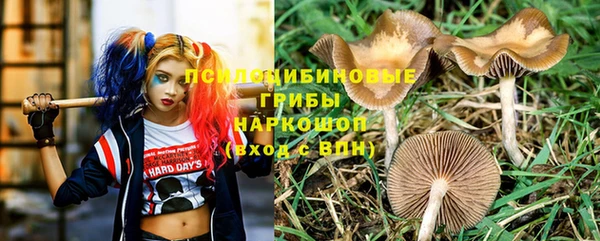 мескалин Пестово