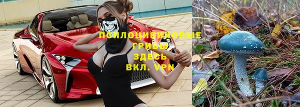 марки lsd Пересвет