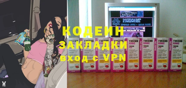 прущие грибы Алагир