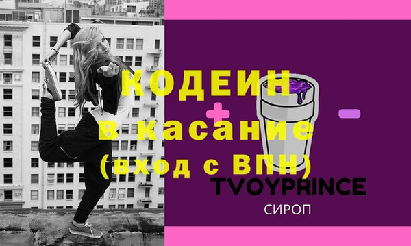 твердый Гусев