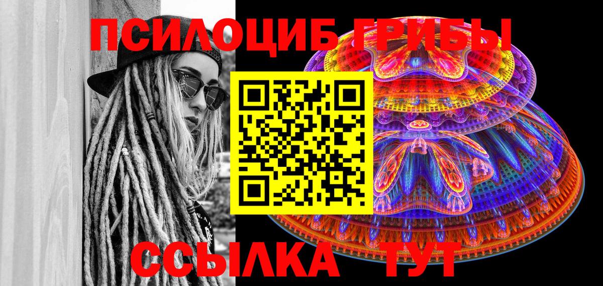 Псилоцибиновые грибы Cubensis Великий Устюг