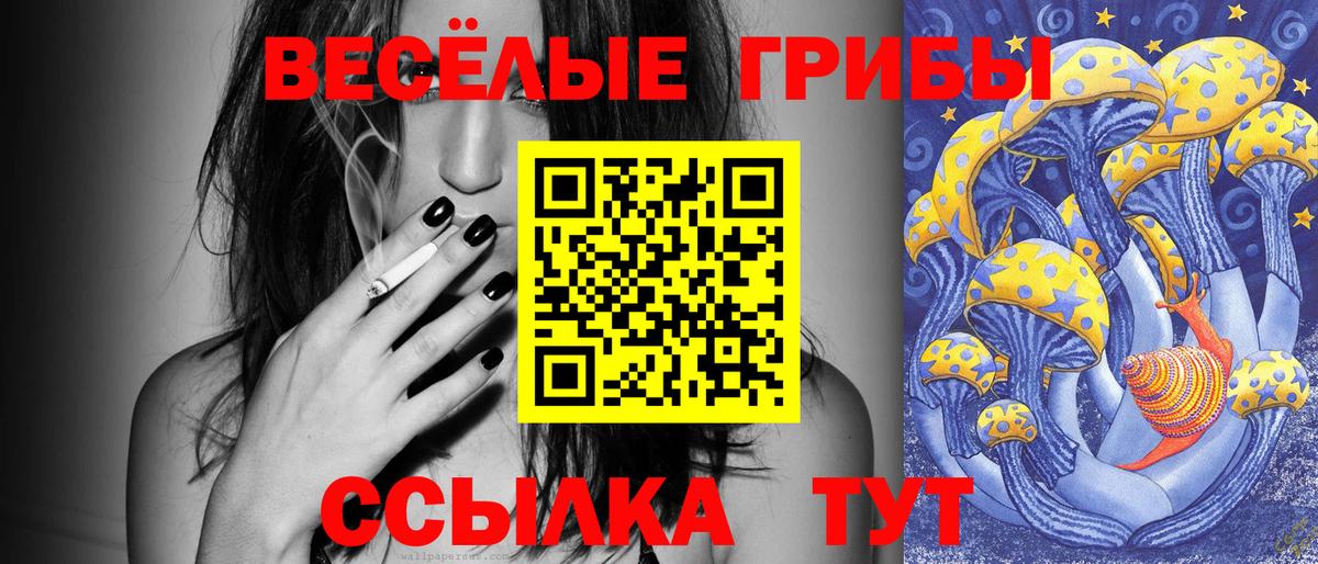 Великий Устюг  Галлюциногенные грибы GOLDEN TEACHER  Вход с VPN 
